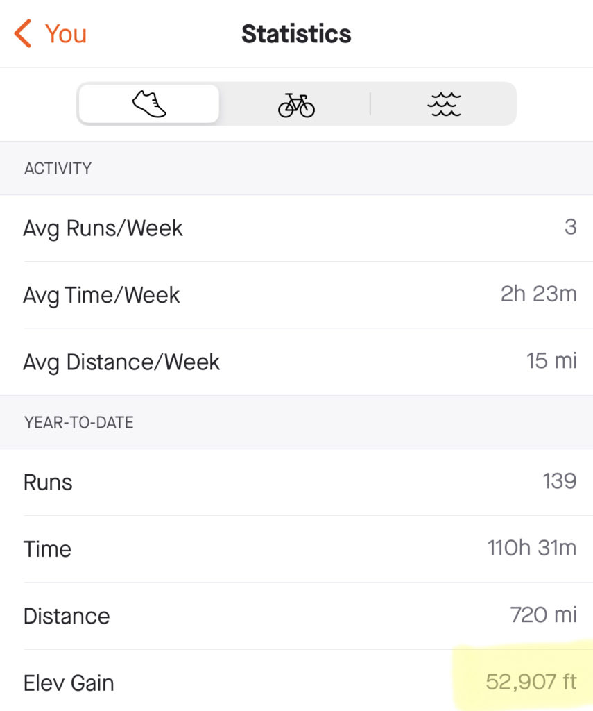 Strava total elevation gain in a year chart