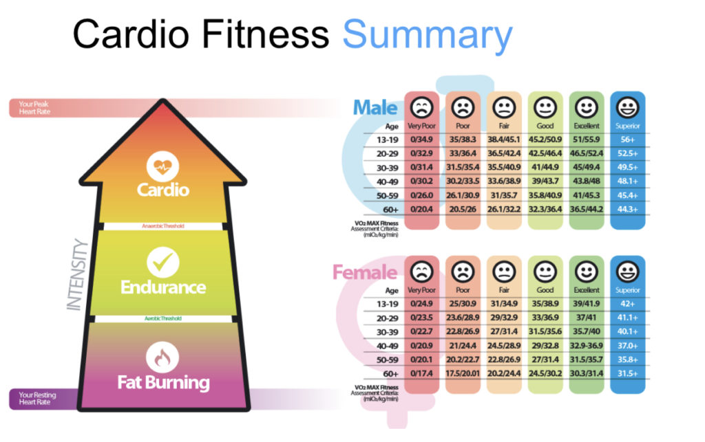 dexafit cardio fitness summary chart - what is a good vo2 max at my age