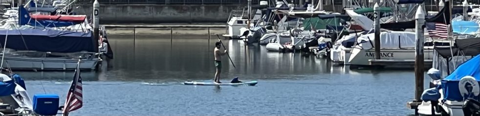 Stand up paddle boarder in Dana point harbor California