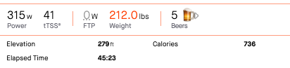sauce for strava calories burned calculator