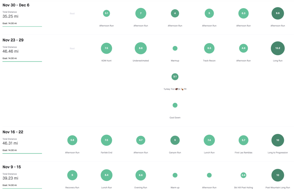 strava training plan log