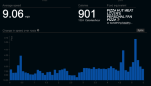 smashrun activity totals