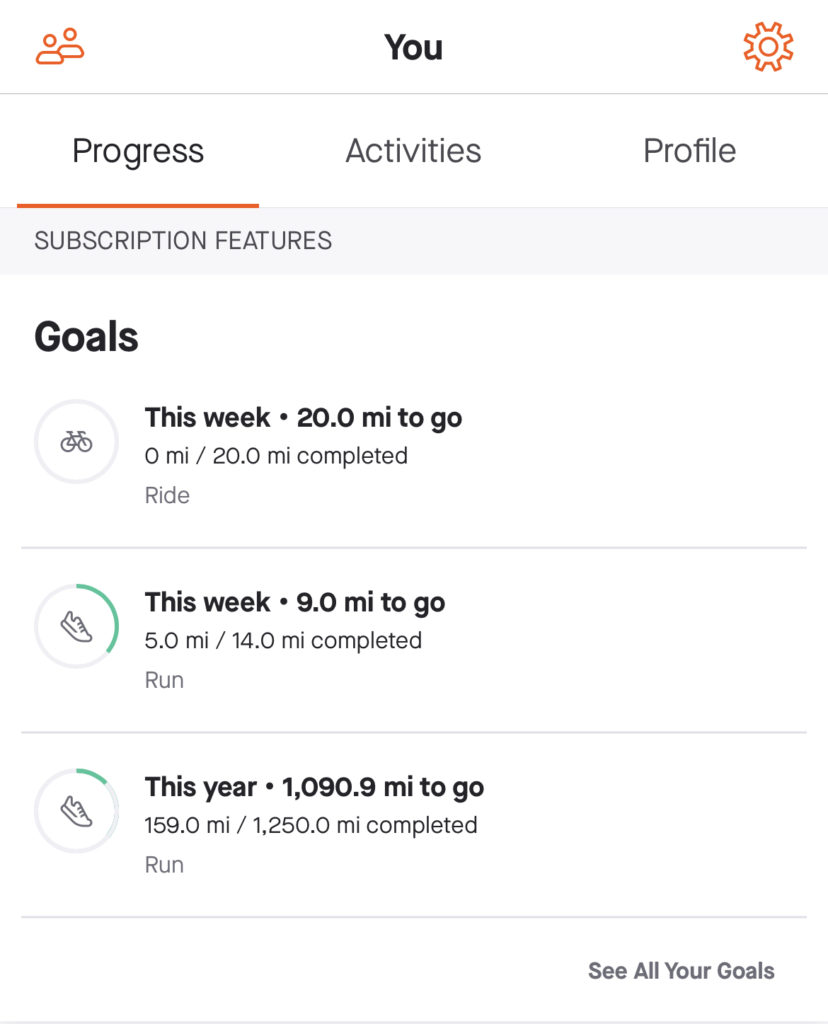 Strava goals chart in app