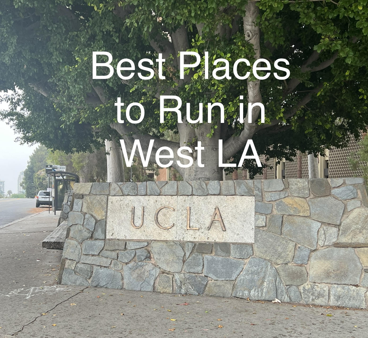 UCLA sign and best runs in west Los angeles