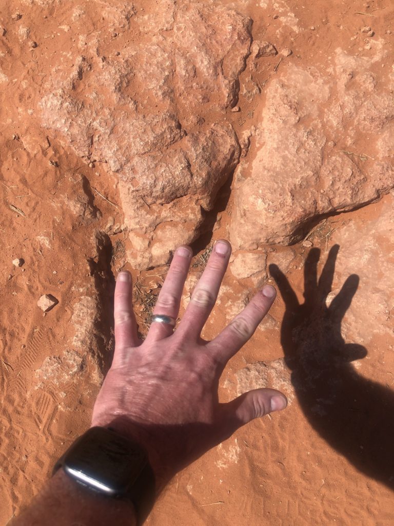 dino print in red rock with hand in foreground
