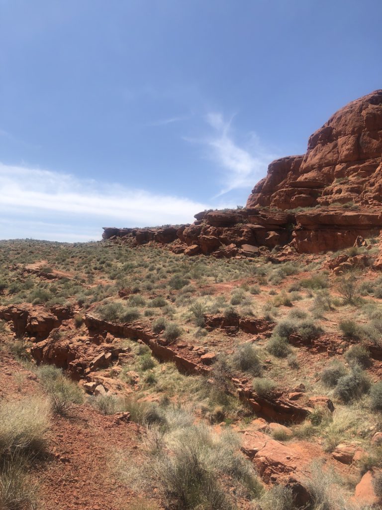 red cliffs in st george Utah near Dino prints hike