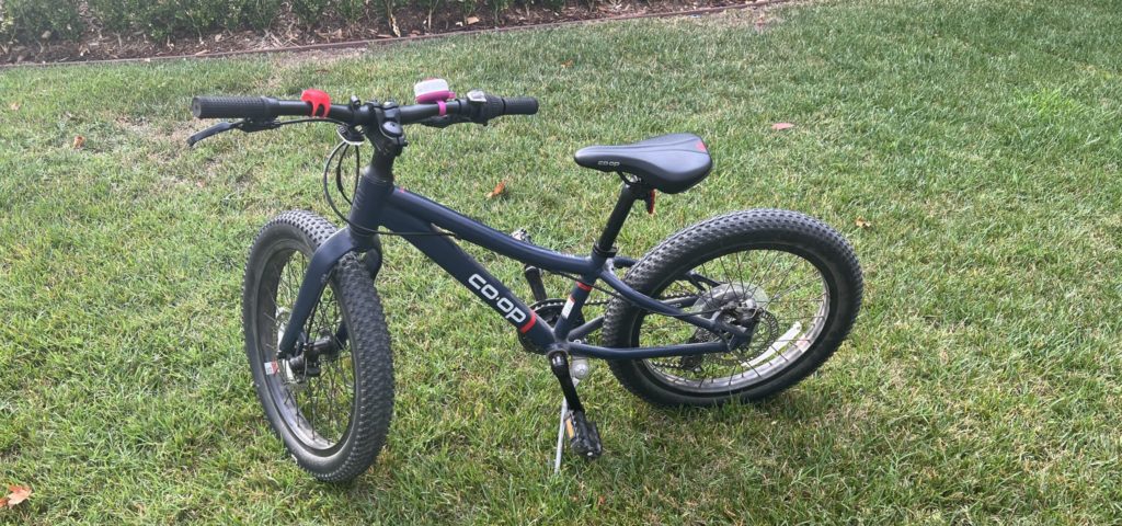 rei co-p mountain bike for kids