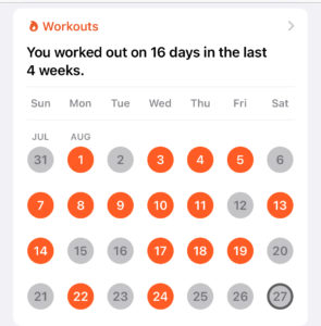 apple watch activity calendar