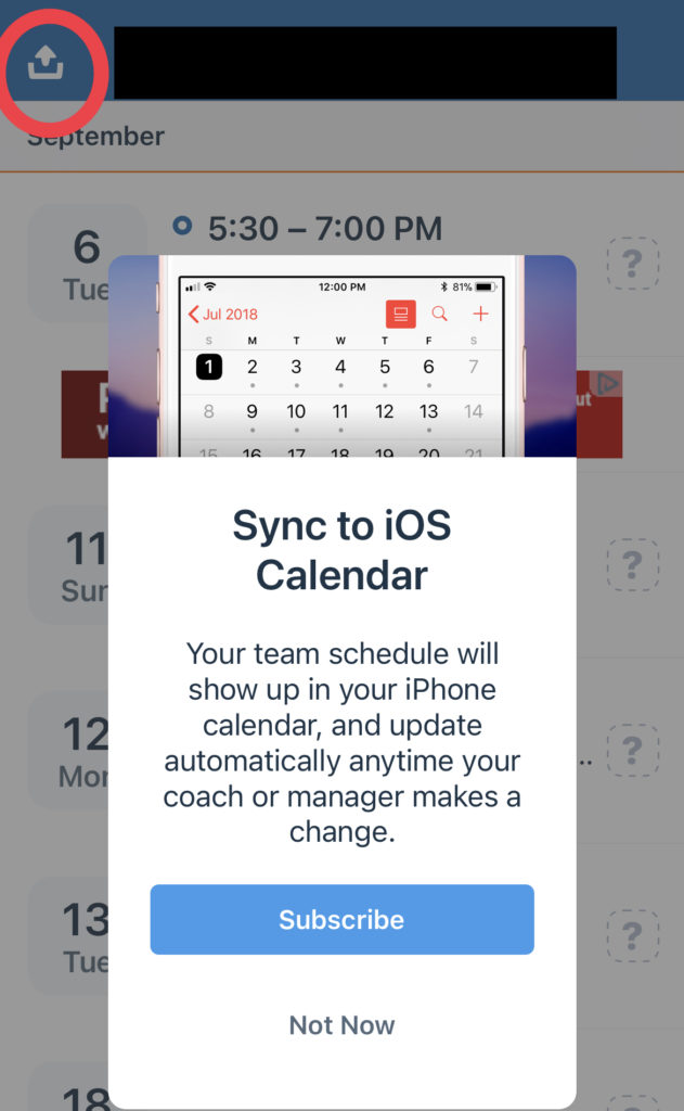 Sync team snap calendar 