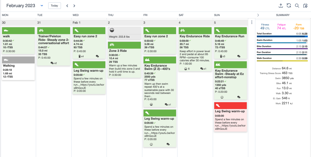 triathlon coach training plan